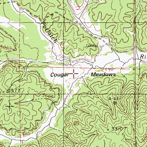 Topographic Map of Cougar Meadows, ID