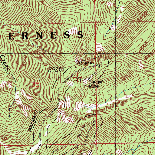 Topographic Map of Cougar Mine, ID