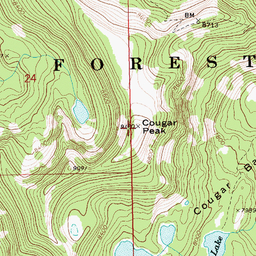 Topographic Map of Cougar Peak, ID