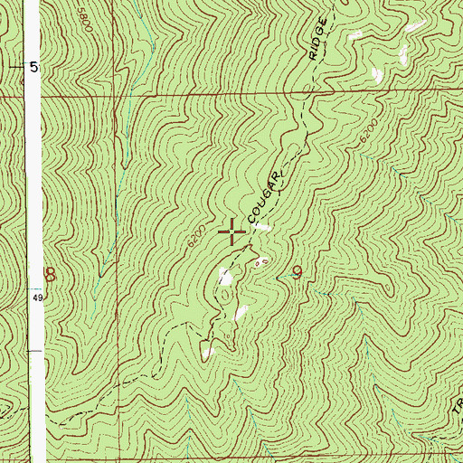 Topographic Map of Cougar Ridge Trail, ID