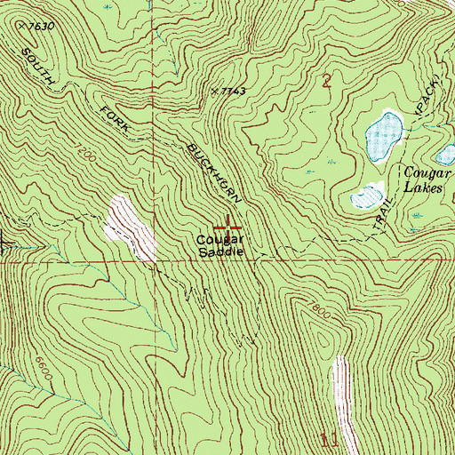 Topographic Map of Cougar Saddle, ID