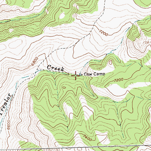 Topographic Map of Cow Camp, ID