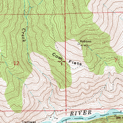Topographic Map of Cow Flats, ID