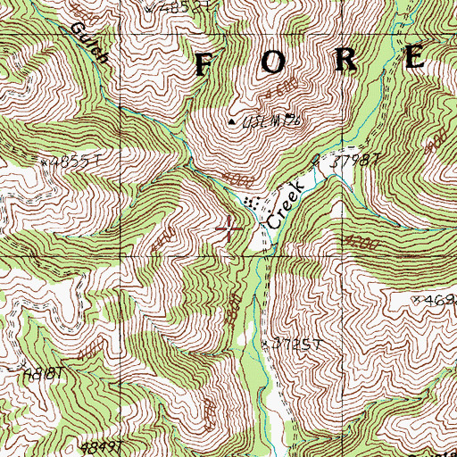 Topographic Map of Cow Gulch, ID
