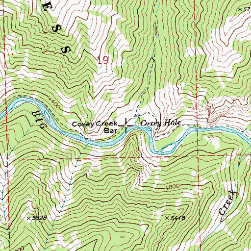 Topographic Map of Coxey Creek, ID