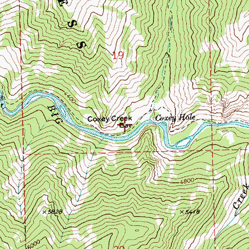 Topographic Map of Coxey Creek Bar, ID