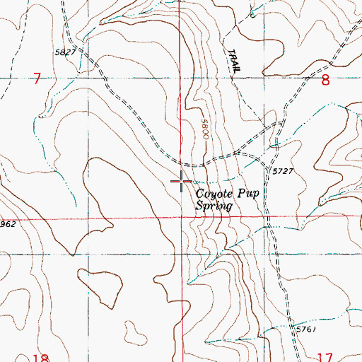 Topographic Map of Coyote Pup Spring, ID