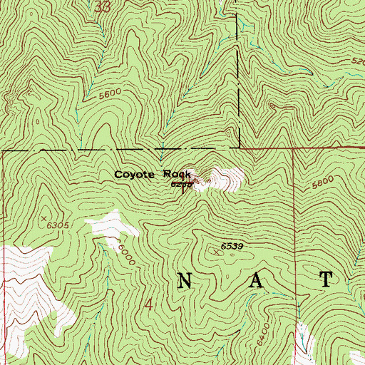 Topographic Map of Coyote Rock, ID