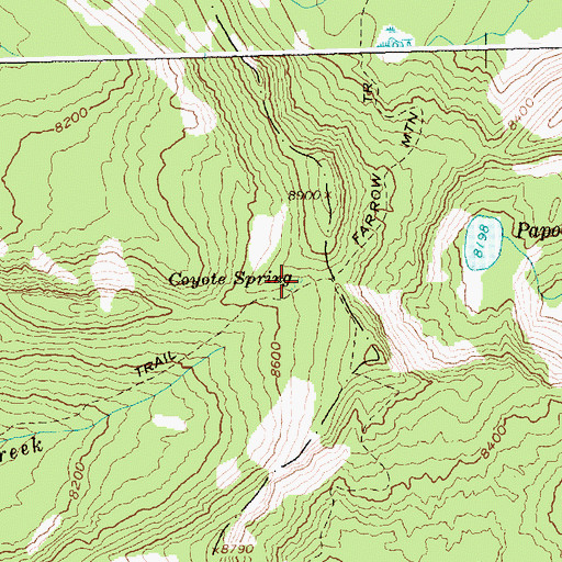 Topographic Map of Coyote Spring, ID