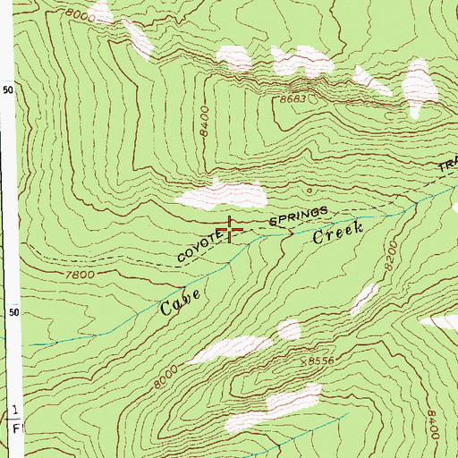 Topographic Map of Coyote Springs Trail, ID