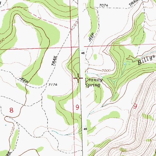 Topographic Map of Cranny Spring, ID