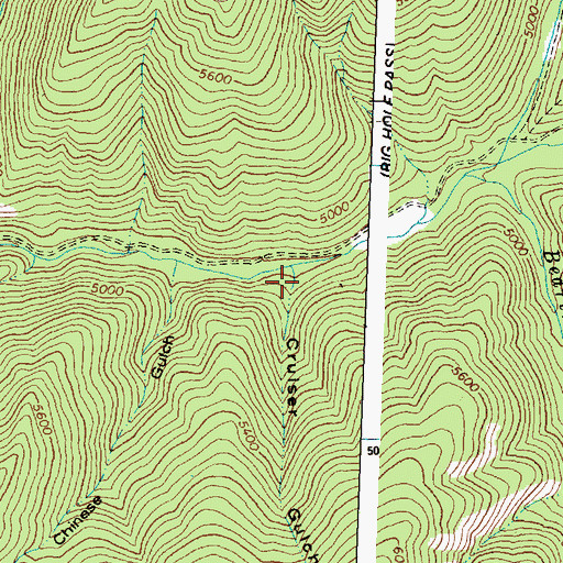 Topographic Map of Cruiser Gulch, ID