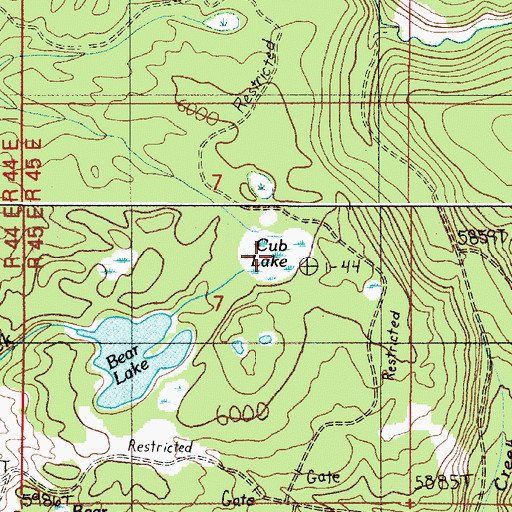Topographic Map of Cub Lake, ID