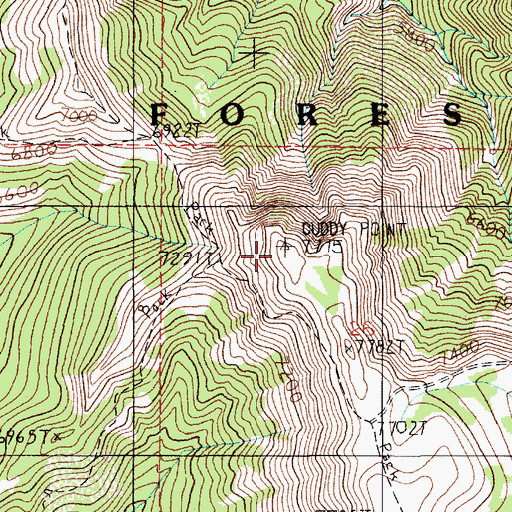 Topographic Map of Cuddy Mountain, ID