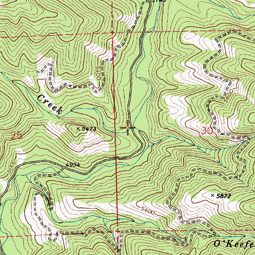 Topographic Map of Cup Creek, ID