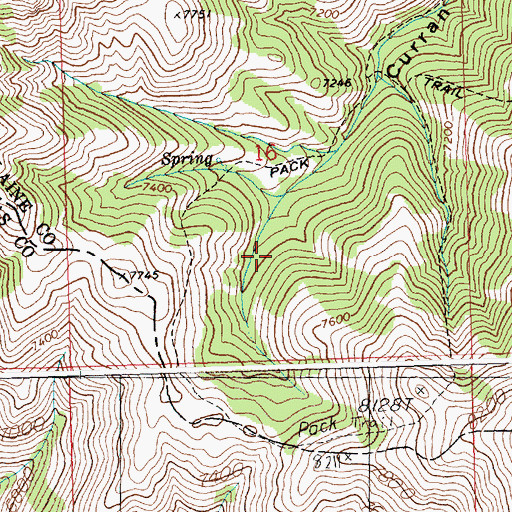 Topographic Map of Curran Gulch, ID