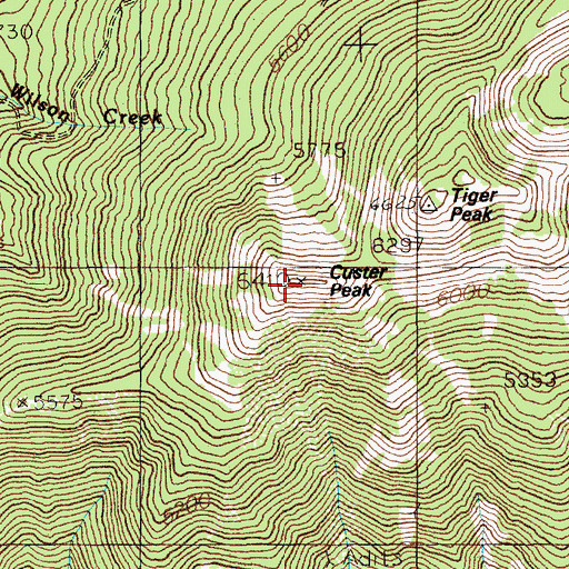 Topographic Map of Custer Peak, ID
