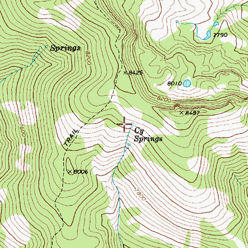 Topographic Map of Cy Springs, ID