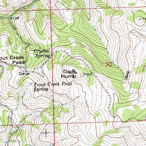 Topographic Map of Dads Hump, ID