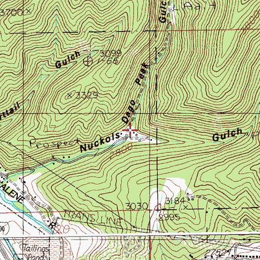 Topographic Map of Dago Peak Gulch, ID