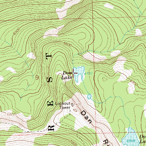 Topographic Map of Dan Lake, ID