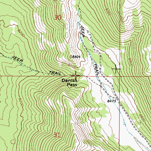 Topographic Map of Danish Pass, ID
