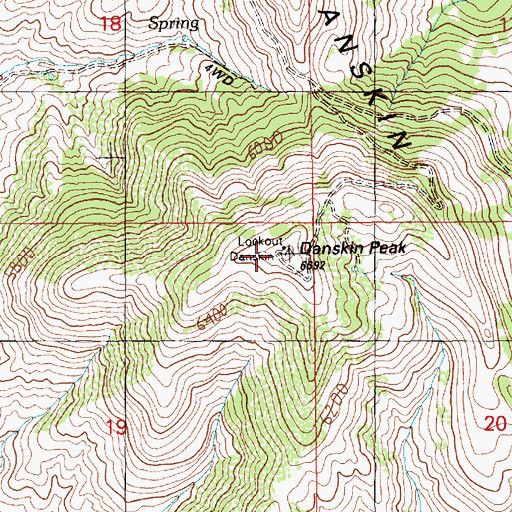 Topographic Map of Danskin Peak, ID