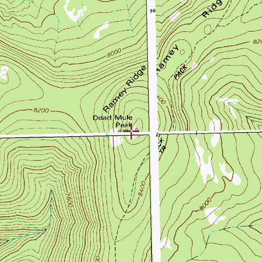 Topographic Map of Dead Mule Peak, ID