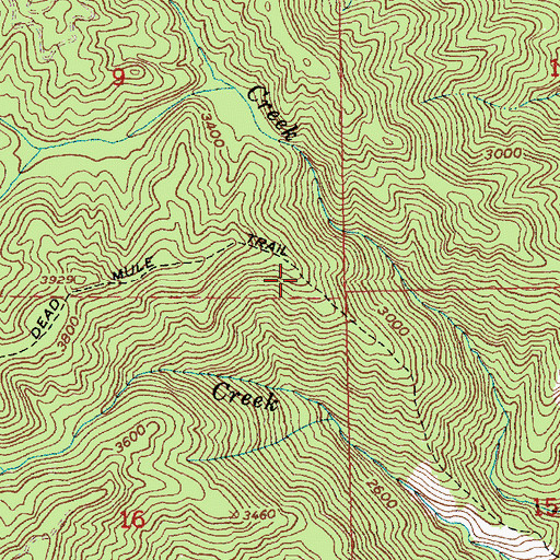 Topographic Map of Dead Mule Trail, ID