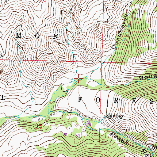 Topographic Map of Deadhorse Canyon, ID
