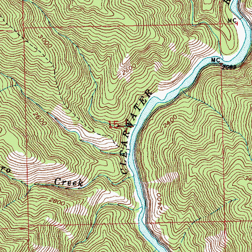 Topographic Map of Deadhorse Creek, ID