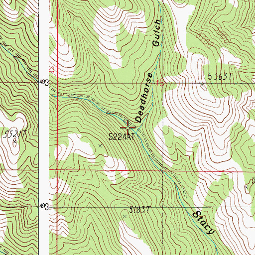 Topographic Map of Deadhorse Gulch, ID