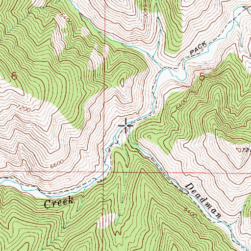 Topographic Map of Deadman Creek, ID