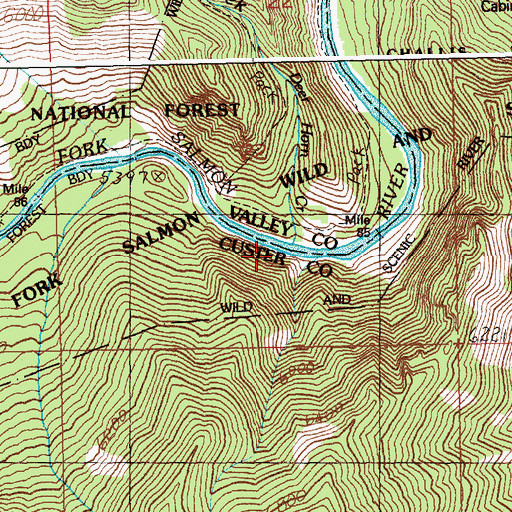 Topographic Map of Deer Horn Creek, ID
