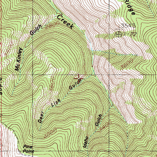 Topographic Map of Deer Lick Gulch, ID