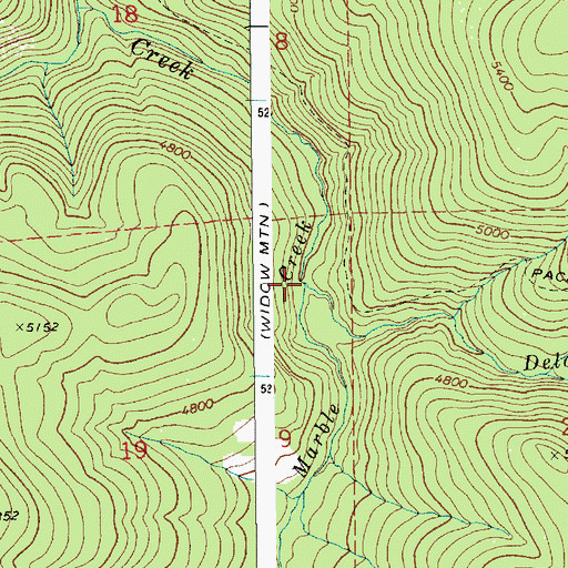 Topographic Map of Delaney Creek, ID