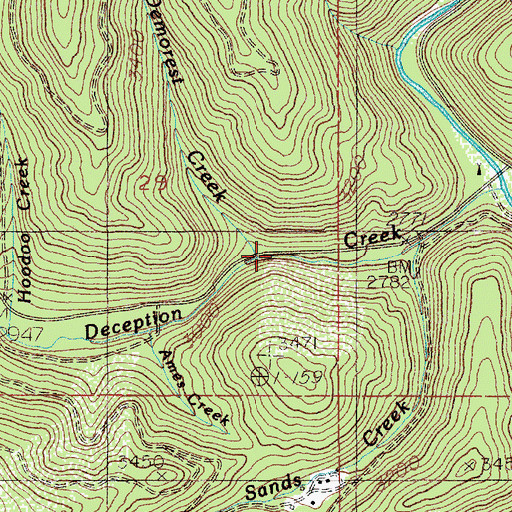 Topographic Map of Demorest Creek, ID