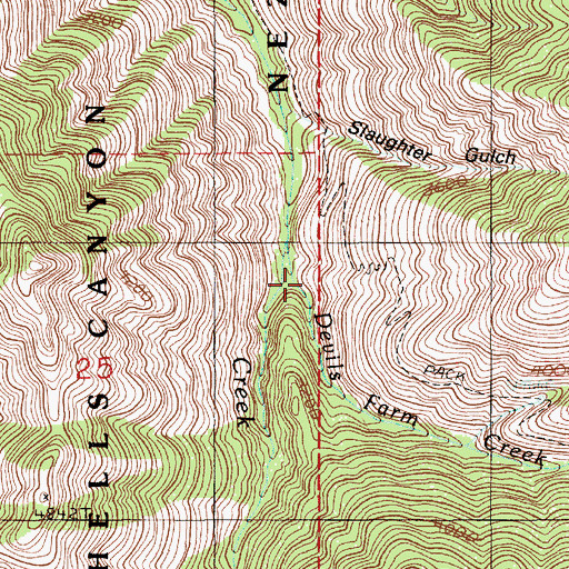 Topographic Map of Devils Farm Creek, ID