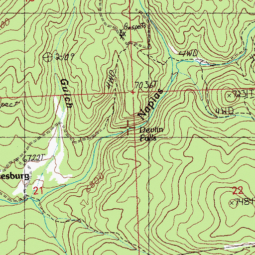 Topographic Map of Devlin Falls, ID