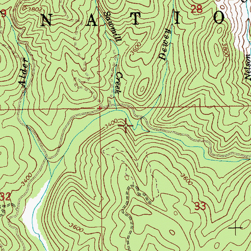 Topographic Map of Dewey Creek, ID