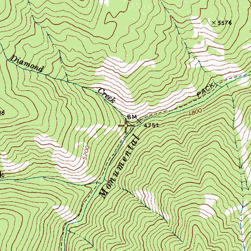 Topographic Map of Diamond Creek, ID