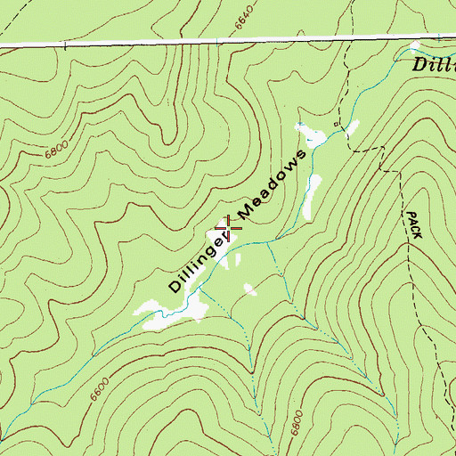 Topographic Map of Dillinger Meadows, ID