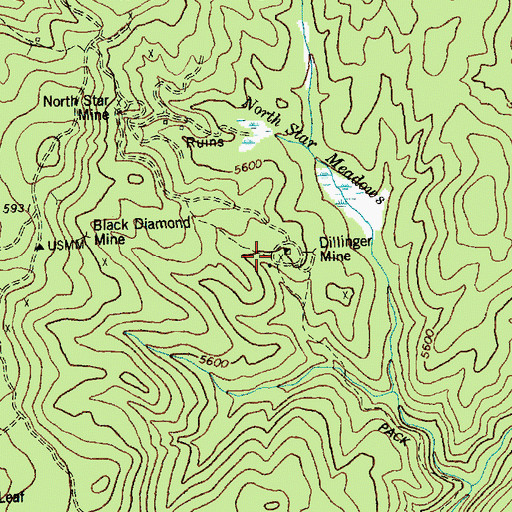 Topographic Map of Dillinger Mine, ID