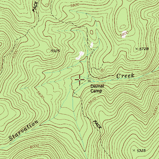Topographic Map of Dismal Camp, ID
