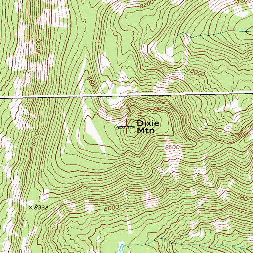 Topographic Map of Dixie Mountain, ID