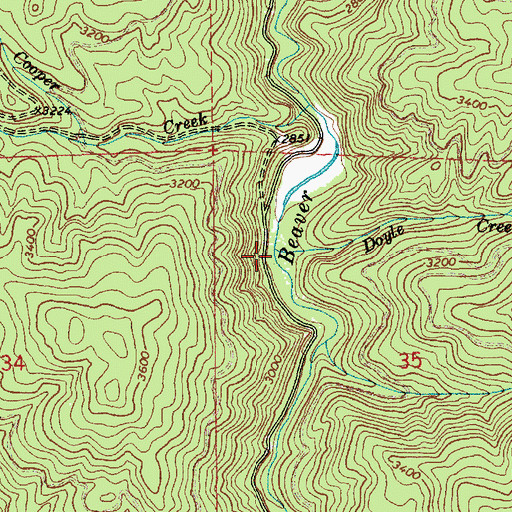 Topographic Map of Doyle Creek, ID