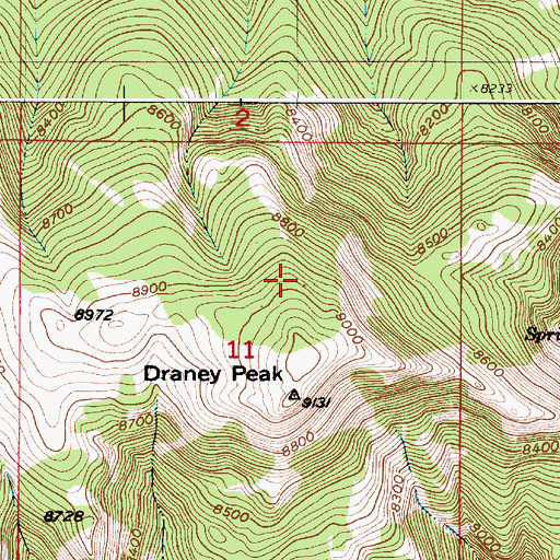 Topographic Map of Draney Peak, ID