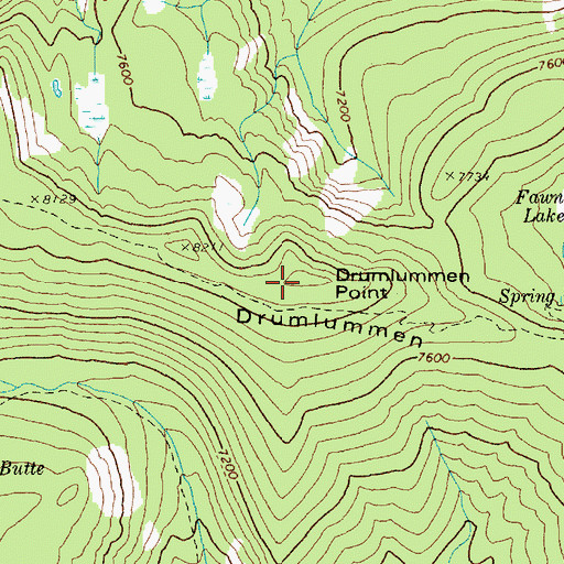 Topographic Map of Drumlummen Point, ID