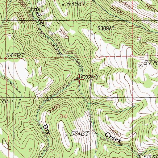 Topographic Map of Dry Beaver Creek, ID