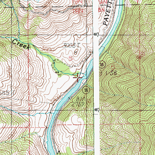 Topographic Map of Dry Buck Creek, ID